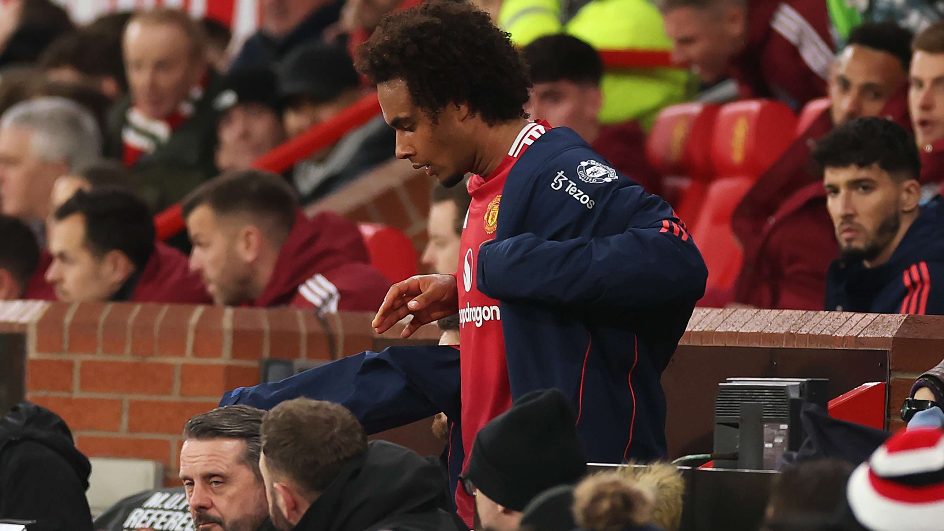 中也融入了 中也融入了