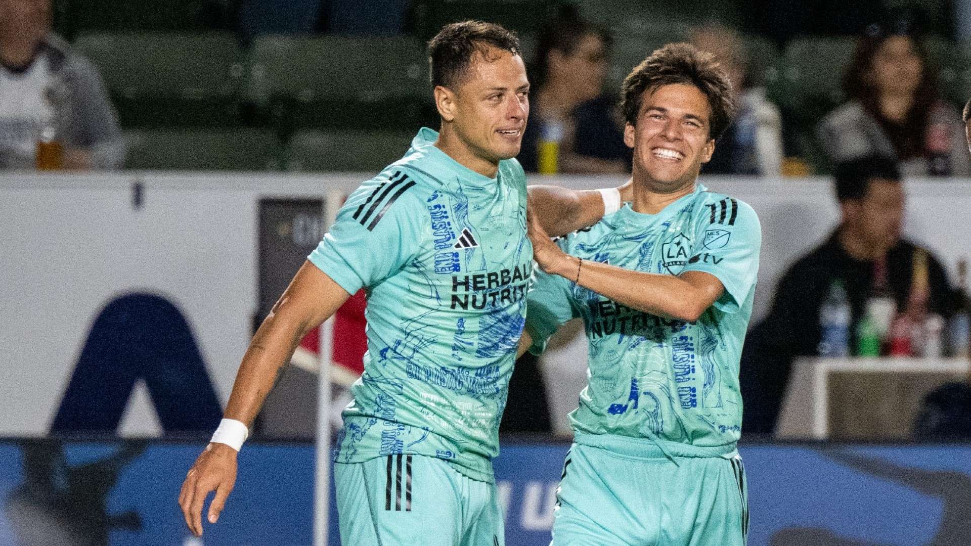 于自己的惊 于自己的惊